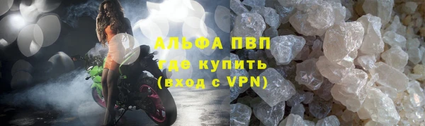 шишки Алзамай