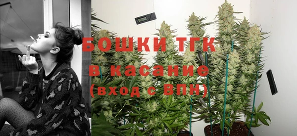 стаф Алексин
