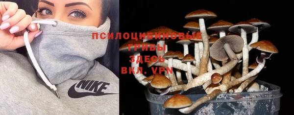 стаф Алексеевка