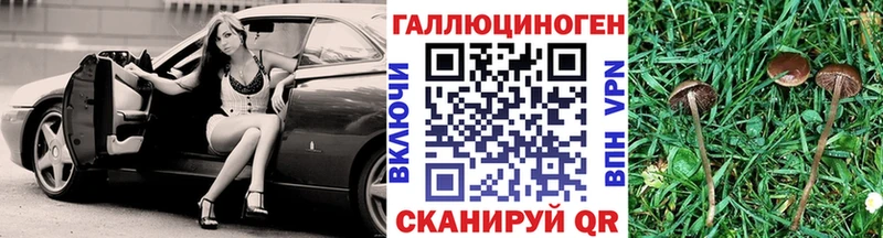 Псилоцибиновые грибы прущие грибы  Новая Ляля 